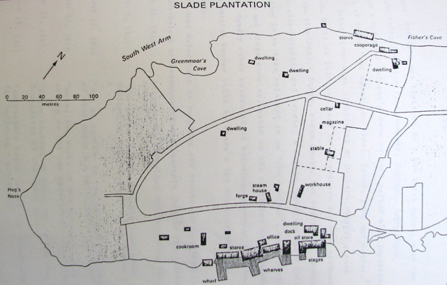 This map shows the Slade Plantation which was once in Trinity, Newfoundland, Canada.